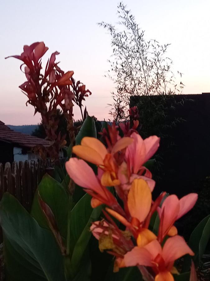 Hostal Skriveni Raj Gornji Milanovac Exterior foto
